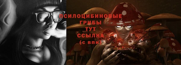 не бодяженный Белокуриха