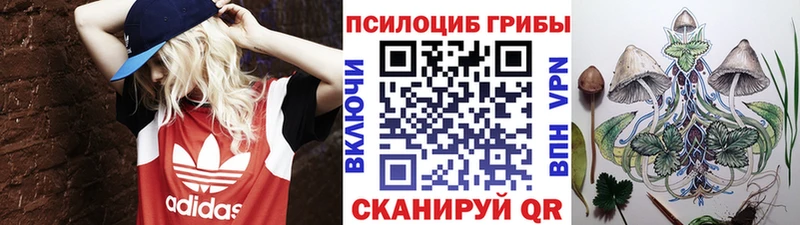 Псилоцибиновые грибы Cubensis  Ясногорск 